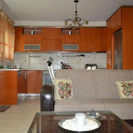 Vasiliki's Cosy House Néa Mihanióna